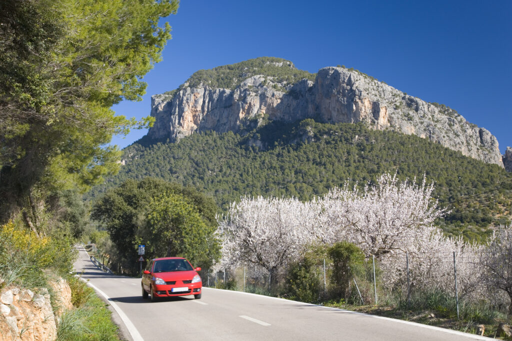 Lees meer over: Kevin begon zijn eigen autoverhuurbedrijf aan de Costa Blanca